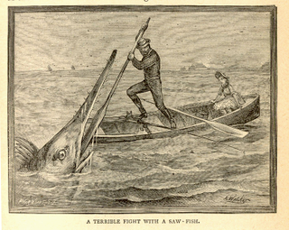 Illustration for article titled This gruesome 1889 biology book outlined the many ways animals will kill us